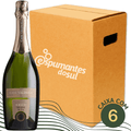 Casa Valduga Premivm Espumante Brut - Caixa com 6 - Casa Valduga - Espumantes do Sul