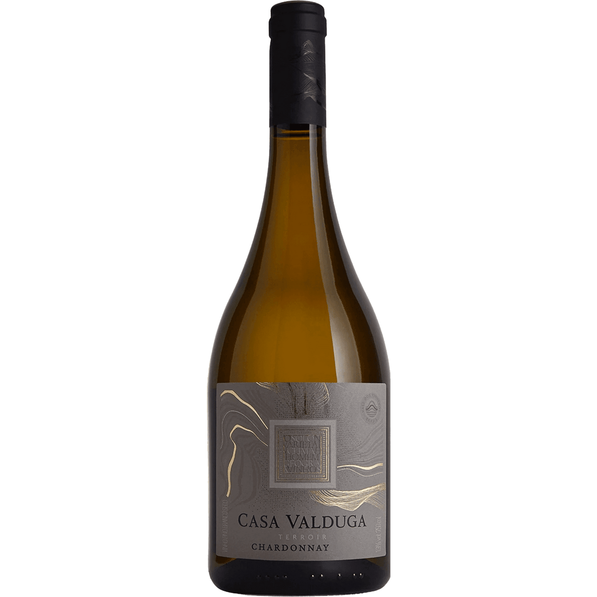 Casa Valduga Terroir Chardonnay - Casa Valduga - Espumantes do Sul