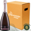 Garibaldi VG Espumante Brut Rosé - Caixa com 6 - Garibaldi - Espumantes do Sul