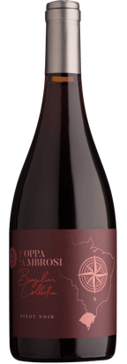 Kit Tenuta Foppa & Ambrosi Brazilian Collection - Tenuta Foppa & Ambrosi - Espumantes do Sul