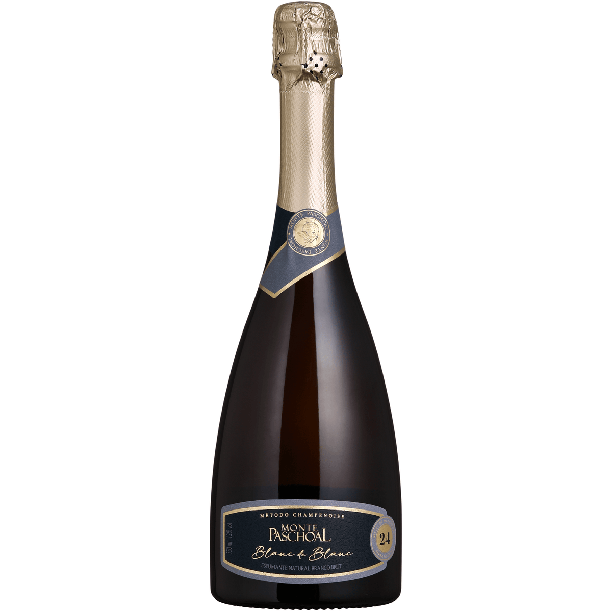 Monte Paschoal Blanc de Blanc Tradicional Espumante Brut - Monte Paschoal - Espumantes do Sul